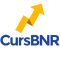 cursbnr.ro